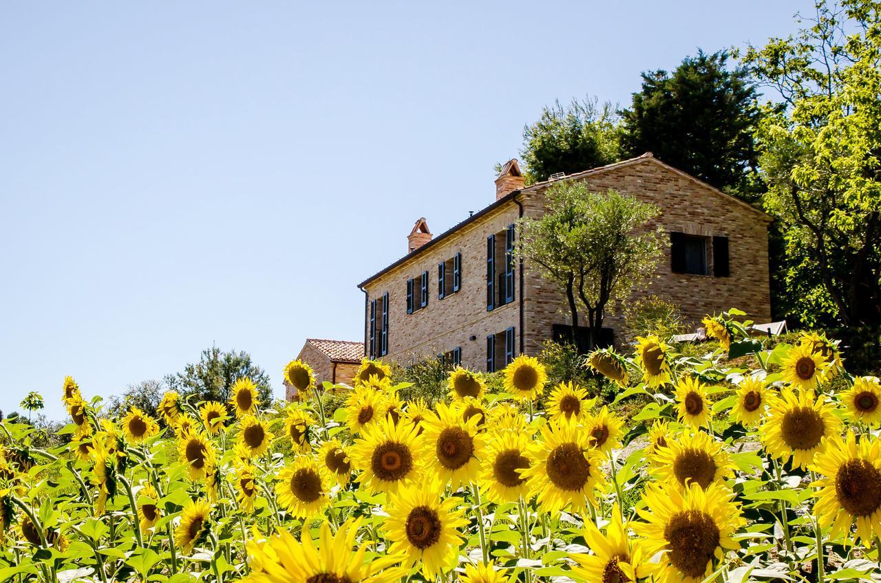 Casavostra - Ambience Suites Ostra Vetere Exterior photo